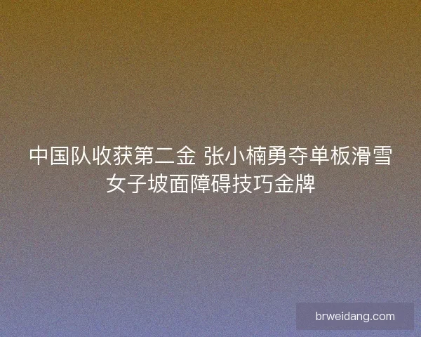 中国队收获第二金 张小楠勇夺单板滑雪女子坡面障碍技巧金牌